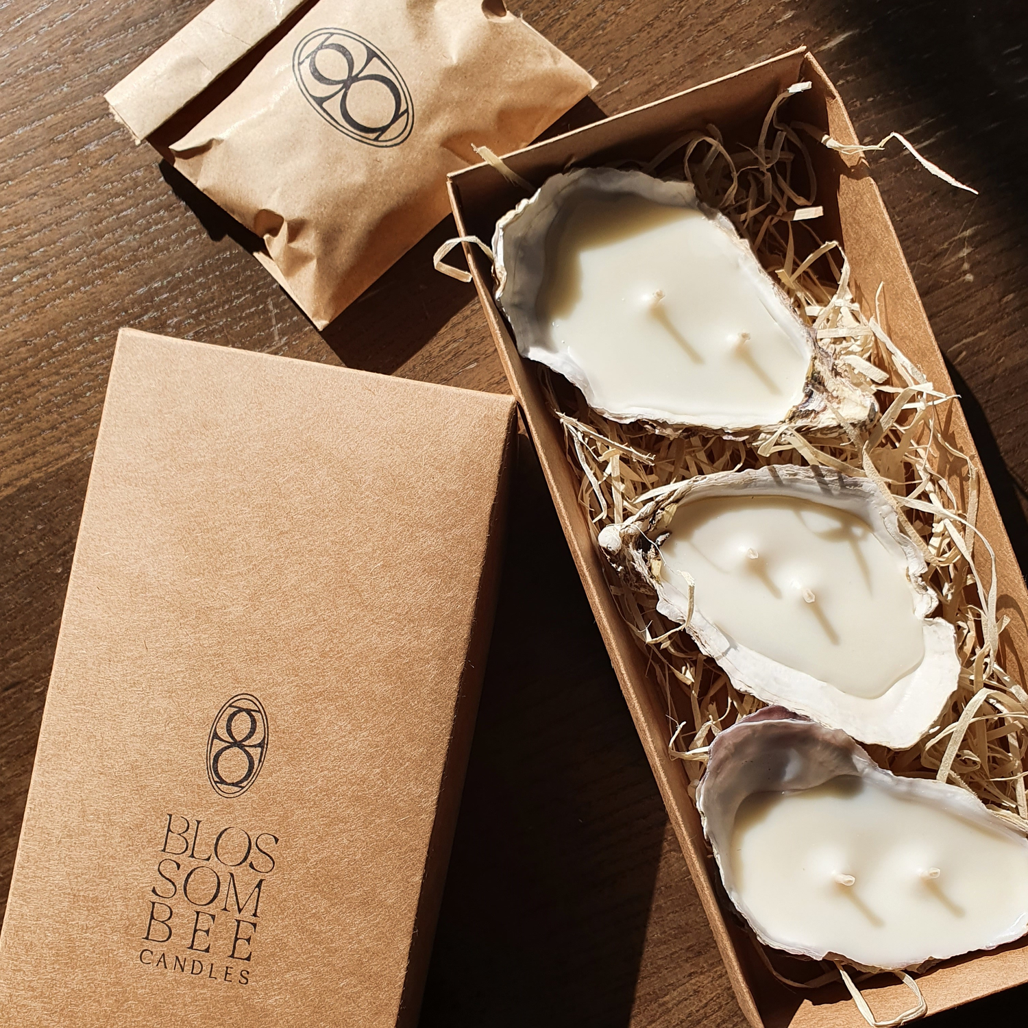 Seashell candles
